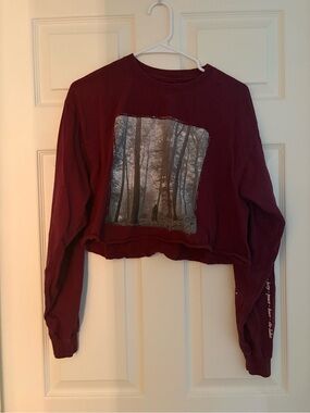 Taylor Swift Folklore Maroon Graphic Cropped Long Sleeve L